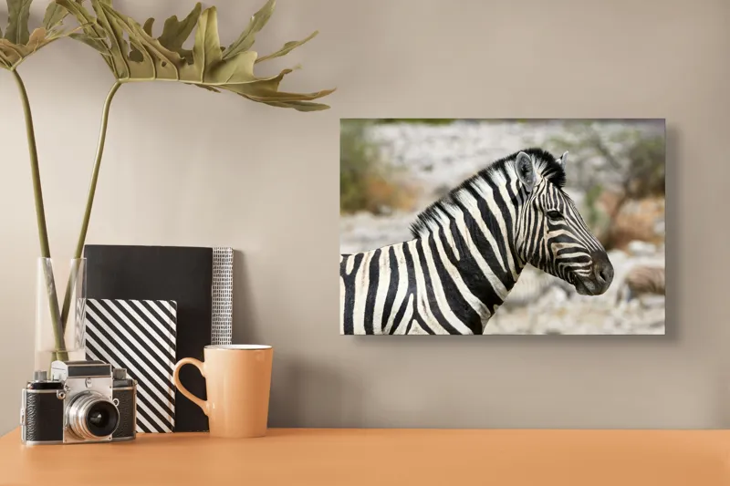Tablou Canvas, "Zebra în peisaj african sălbatic", 39 x 26 cm – poza 3