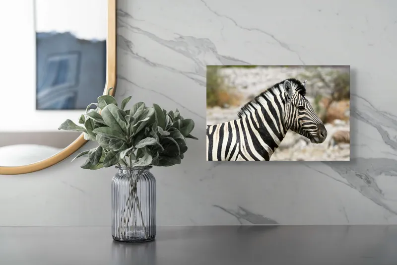 Tablou Canvas, "Zebra în peisaj african sălbatic", 39 x 26 cm – poza 5