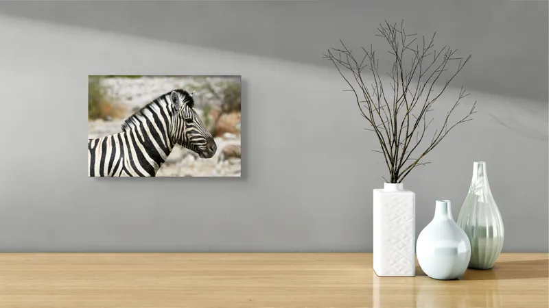 Tablou Canvas, "Zebra în peisaj african sălbatic", 39 x 26 cm – poza 8