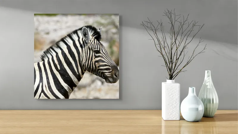 Tablou Canvas, "Zebra în peisaj african sălbatic", 50 x 50 cm – poza 3