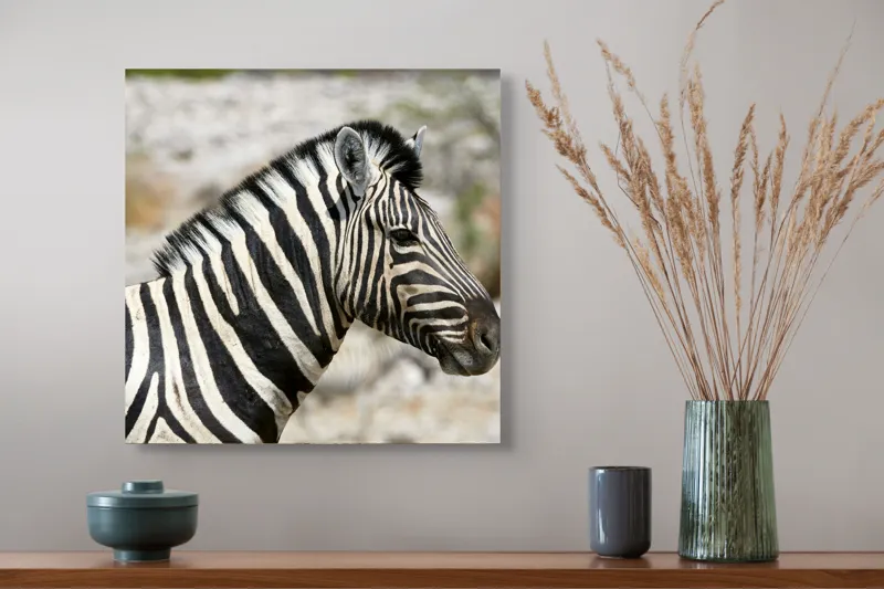Tablou Canvas, "Zebra în peisaj african sălbatic", 50 x 50 cm – poza 4