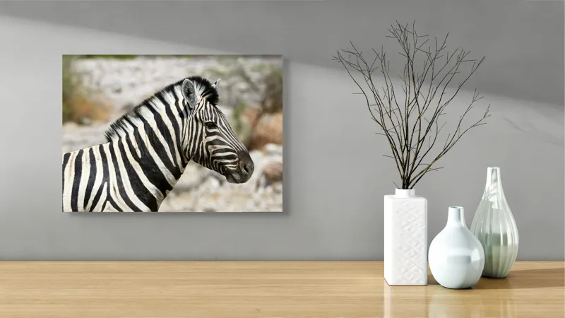 Tablou Canvas, "Zebra în peisaj african sălbatic", 54 x 39 cm – poza 3