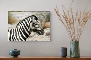 Tablou Canvas, "Zebra în peisaj african sălbatic", 54 x 39 cm – poza 4