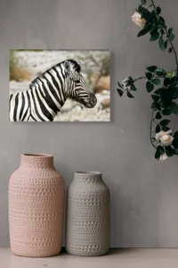 Tablou Canvas, "Zebra în peisaj african sălbatic", 54 x 39 cm – poza 8