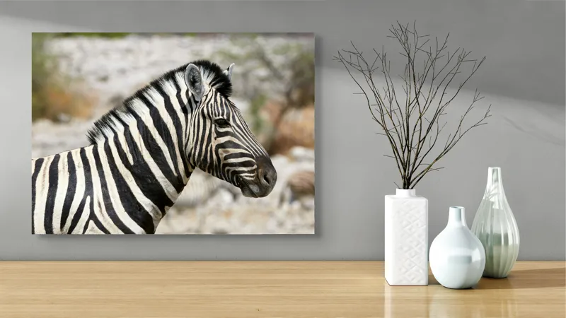 Tablou Canvas, "Zebra în peisaj african sălbatic", 70 x 50 cm – poza 3