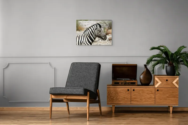 Tablou Canvas, "Zebra în peisaj african sălbatic", 70 x 50 cm – poza 4