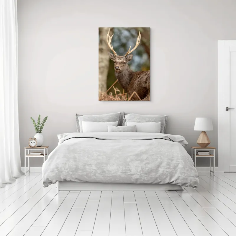 Tablou Canvas, "Cerbul mândru al pădurii tăcute", Cerb, Pădure, Coarne, Blană, Natură, Frunziș, Privire, Eleganță, 70 x 100 cm – poza 3