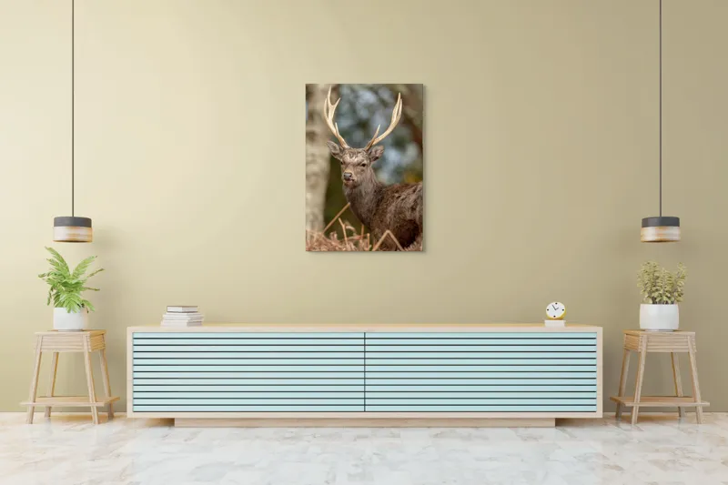 Tablou Canvas, "Cerbul mândru al pădurii tăcute", Cerb, Pădure, Coarne, Blană, Natură, Frunziș, Privire, Eleganță, 70 x 100 cm – poza 5