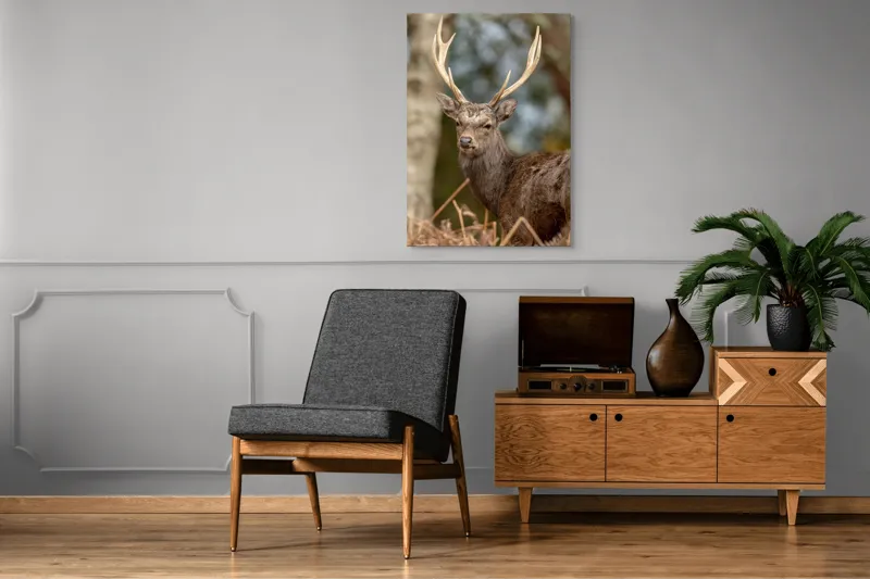 Tablou Canvas, "Cerbul mândru al pădurii tăcute", Cerb, Pădure, Coarne, Blană, Natură, Frunziș, Privire, Eleganță, 70 x 100 cm – poza 6