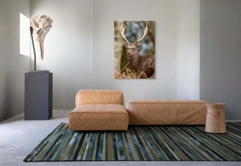 Tablou Canvas, "Cerbul mândru al pădurii tăcute", Cerb, Pădure, Coarne, Blană, Natură, Frunziș, Privire, Eleganță, 70 x 100 cm – poza 7