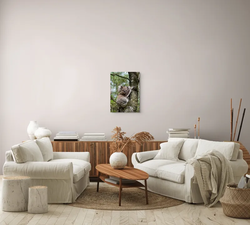 Tablou Canvas, "Koala în îmbrățișarea unui copac", Koala, Arbore, Blană, Natură, Eucalyptus, Somnoros, Ramură, Vegetație, 39 x 54 cm – poza 5