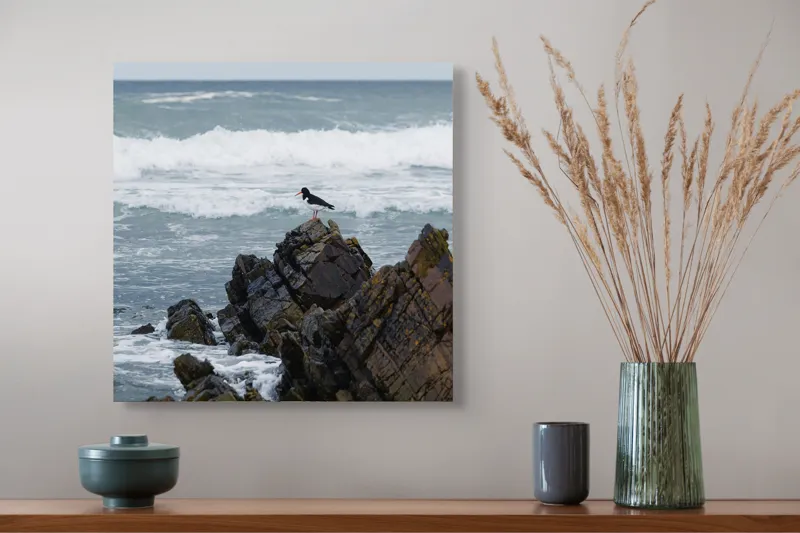 Tablou Canvas, "Pasărea singuratică pe stânca marină", Pasăre, Stânci, Mare, Valuri, Coastă, Natură, Cer, Albastru, 50 x 50 cm – poza 4