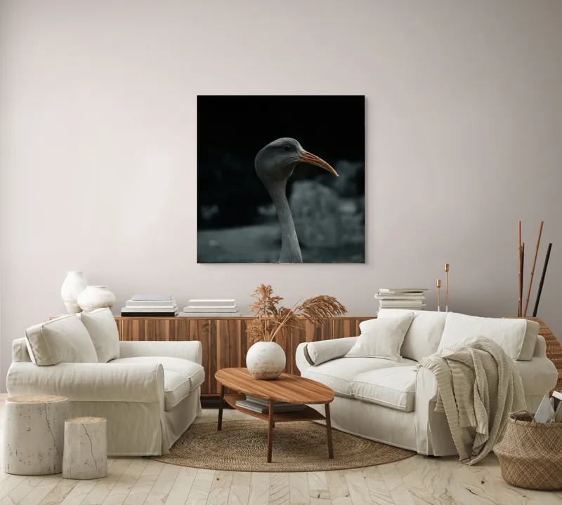 Tablou Canvas, "Pasărea contemplativă în umbra nopții", Pasăre, Picioroangă, Cioc, Penaj, Fundal Întunecat, 100 x 100 cm – poza 3