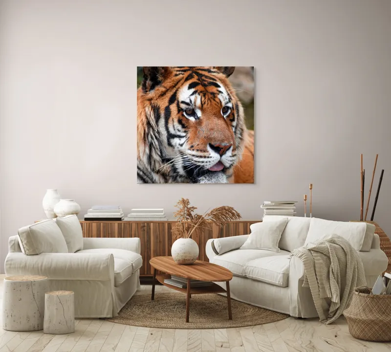Tablou Canvas, "Tigrul din savana însorită", 100 x 100 cm – poza 3