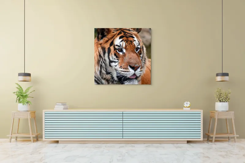 Tablou Canvas, "Tigrul din savana însorită", 100 x 100 cm – poza 5