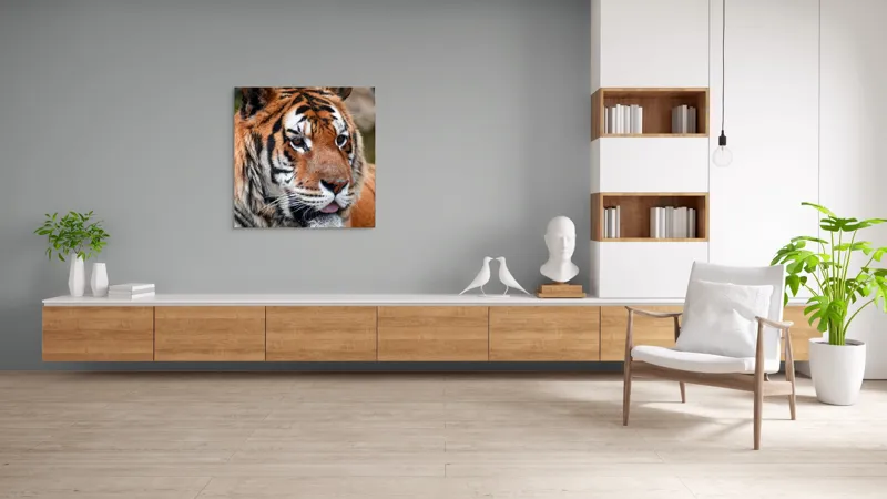 Tablou Canvas, "Tigrul din savana însorită", 100 x 100 cm – poza 8