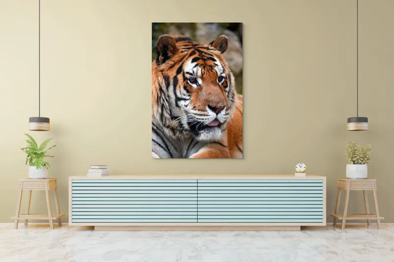 Tablou Canvas, "Tigrul din savana însorită", 100 x 150 cm – poza 4
