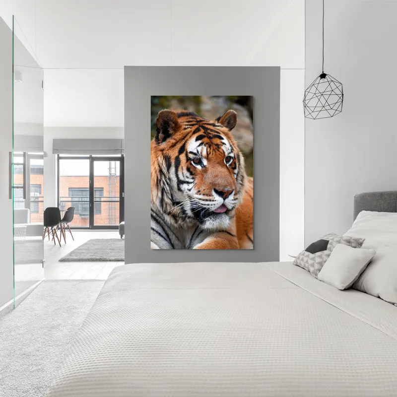Tablou Canvas, "Tigrul din savana însorită", 100 x 150 cm – poza 5
