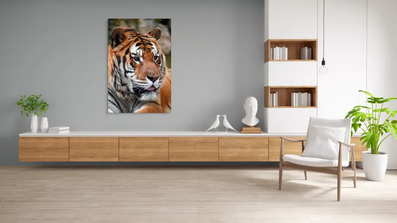 Tablou Canvas, "Tigrul din savana însorită", 100 x 150 cm – poza 8