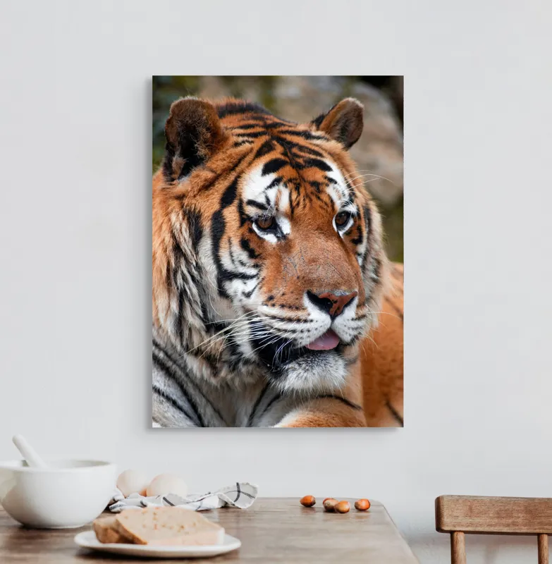 Tablou Canvas, "Tigrul din savana însorită", 50 x 70 cm – poza 3