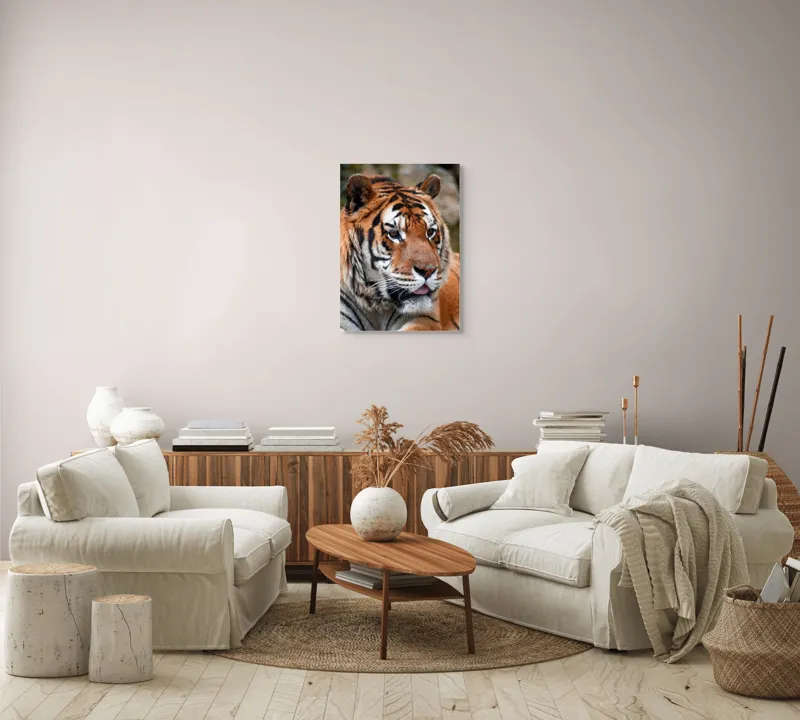 Tablou Canvas, "Tigrul din savana însorită", 50 x 70 cm – poza 4