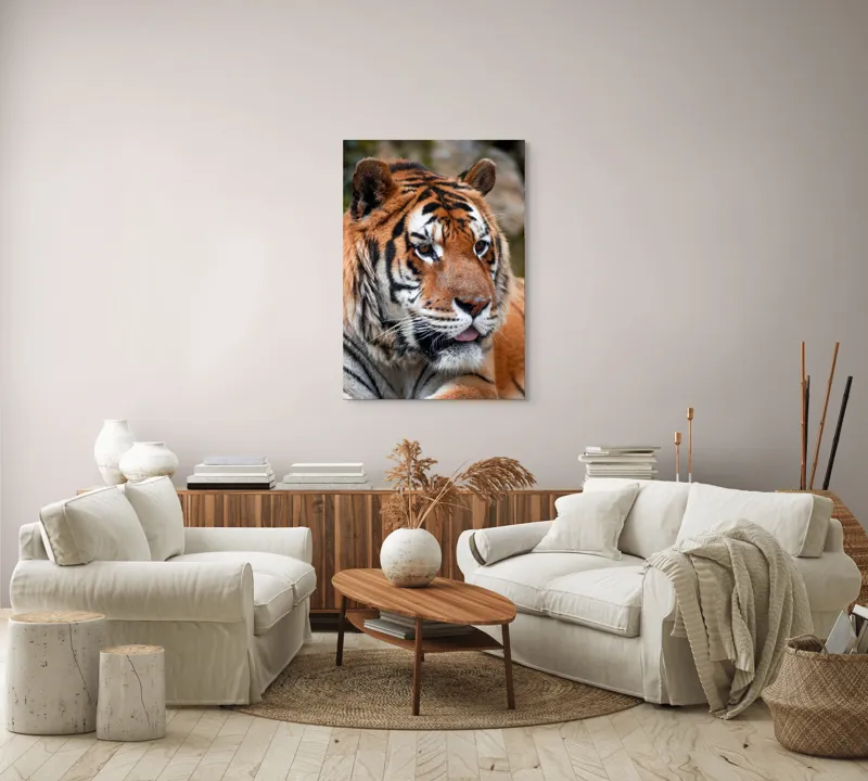 Tablou Canvas, "Tigrul din savana însorită", 70 x 100 cm – poza 4