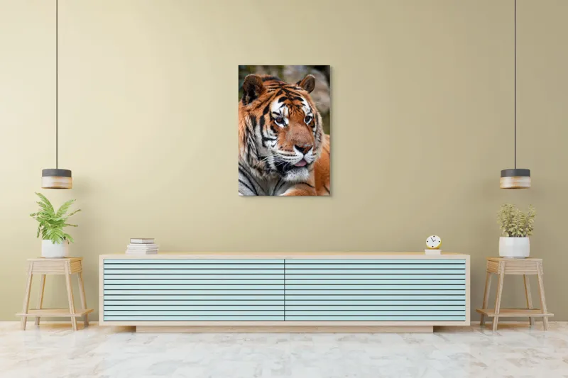 Tablou Canvas, "Tigrul din savana însorită", 70 x 100 cm – poza 5