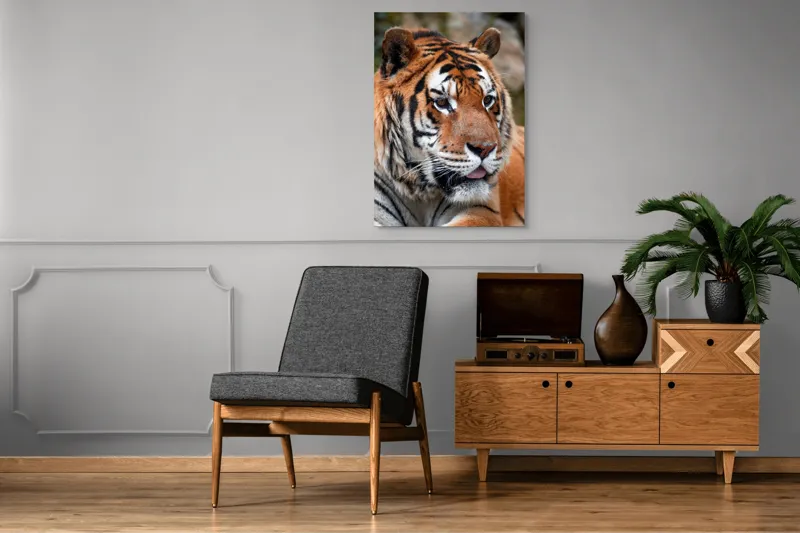 Tablou Canvas, "Tigrul din savana însorită", 70 x 100 cm – poza 6