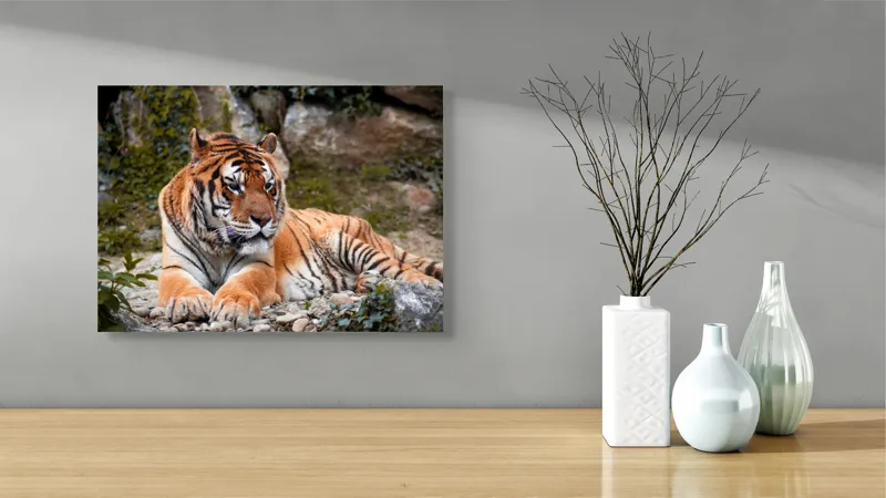 Tablou Canvas, "Tigru relaxându-se în natură luxuriantă", Tigru, Blană, Dungi, Vegetație, Stâncă, Privire, Natură, Relaxează, Putere, Majestuos, 54 x 39 cm – poza 3