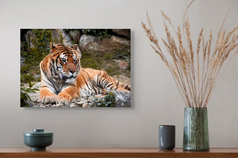 Tablou Canvas, "Tigru relaxându-se în natură luxuriantă", Tigru, Blană, Dungi, Vegetație, Stâncă, Privire, Natură, Relaxează, Putere, Majestuos, 54 x 39 cm – poza 4