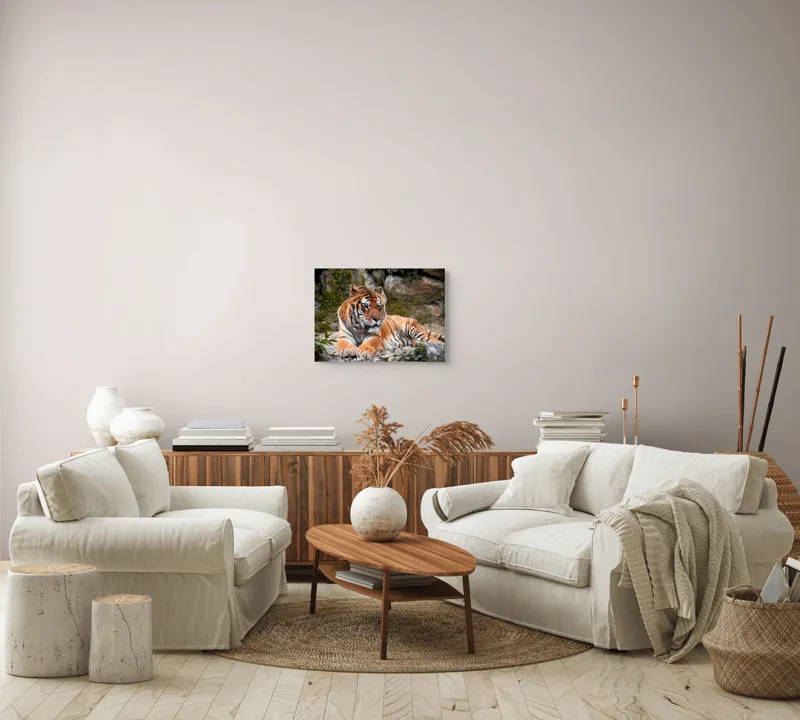 Tablou Canvas, "Tigru relaxându-se în natură luxuriantă", Tigru, Blană, Dungi, Vegetație, Stâncă, Privire, Natură, Relaxează, Putere, Majestuos, 54 x 39 cm – poza 5