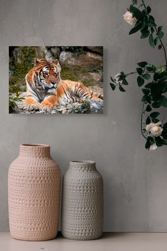 Tablou Canvas, "Tigru relaxându-se în natură luxuriantă", Tigru, Blană, Dungi, Vegetație, Stâncă, Privire, Natură, Relaxează, Putere, Majestuos, 54 x 39 cm – poza 8