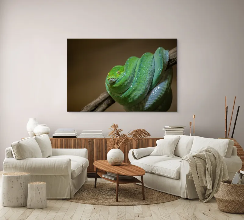 Tablou Canvas, "Șarpele odihnindu-se pe ramură", Șarpe, Verde, Liane, Umezeală, Natură, Reptilă, Frunze, 150 x 100 cm – poza 3