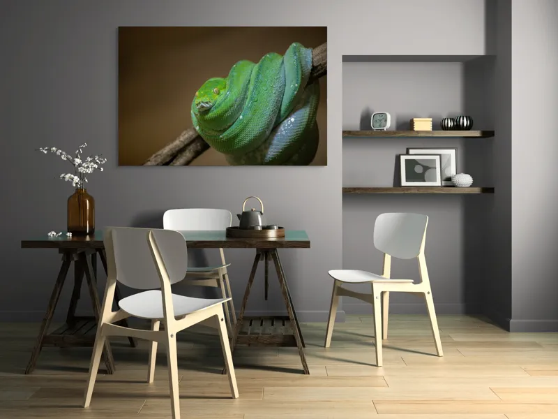Tablou Canvas, "Șarpele odihnindu-se pe ramură", Șarpe, Verde, Liane, Umezeală, Natură, Reptilă, Frunze, 150 x 100 cm – poza 5