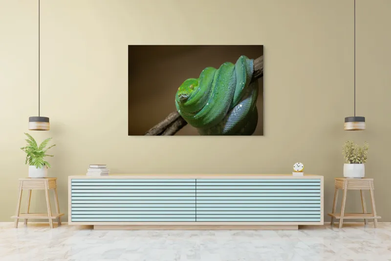Tablou Canvas, "Șarpele odihnindu-se pe ramură", Șarpe, Verde, Liane, Umezeală, Natură, Reptilă, Frunze, 150 x 100 cm – poza 6