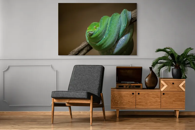 Tablou Canvas, "Șarpele odihnindu-se pe ramură", Șarpe, Verde, Liane, Umezeală, Natură, Reptilă, Frunze, 150 x 100 cm – poza 8