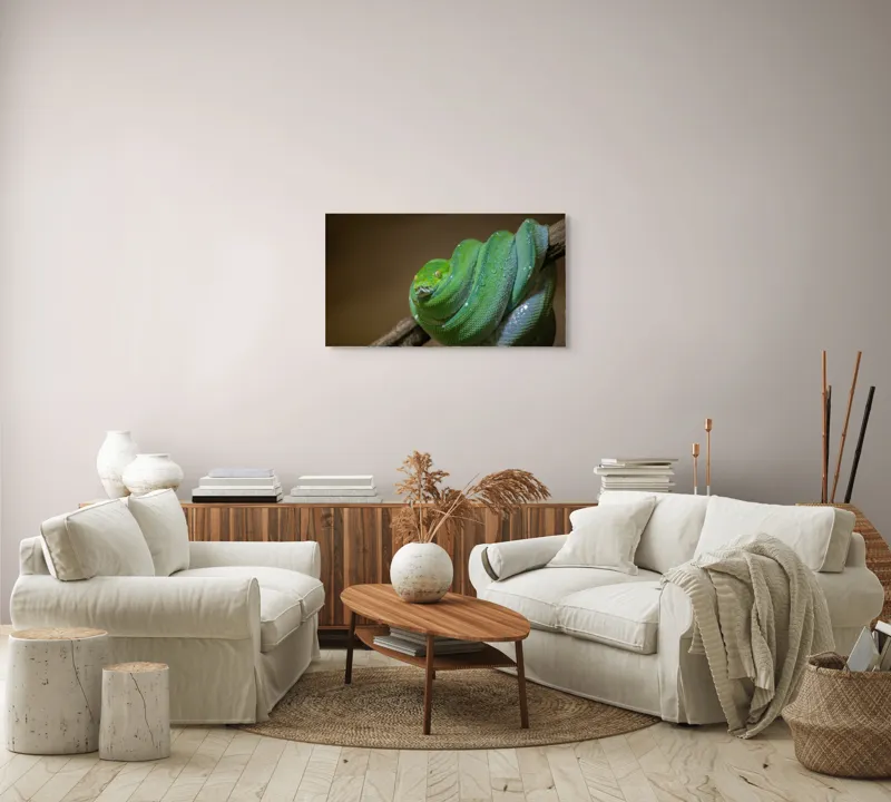 Tablou Canvas, "Șarpele odihnindu-se pe ramură", Șarpe, Verde, Liane, Umezeală, Natură, Reptilă, Frunze, 90 x 50 cm – poza 4