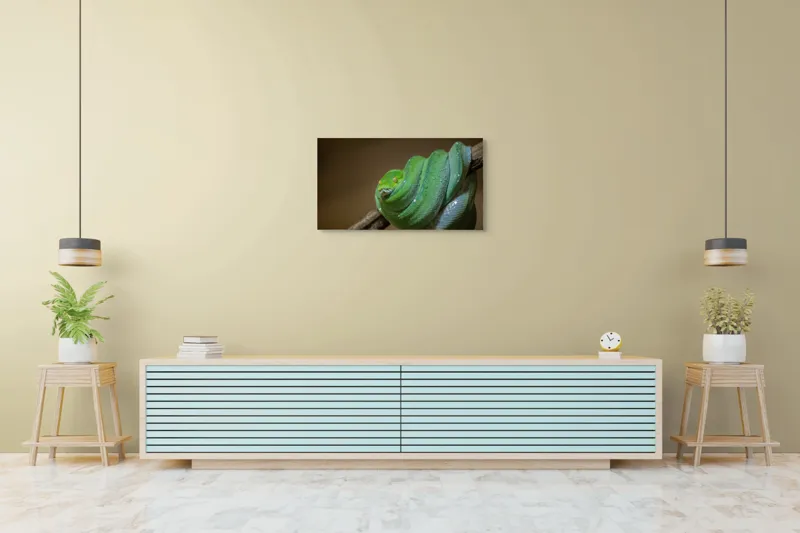 Tablou Canvas, "Șarpele odihnindu-se pe ramură", Șarpe, Verde, Liane, Umezeală, Natură, Reptilă, Frunze, 90 x 50 cm – poza 5