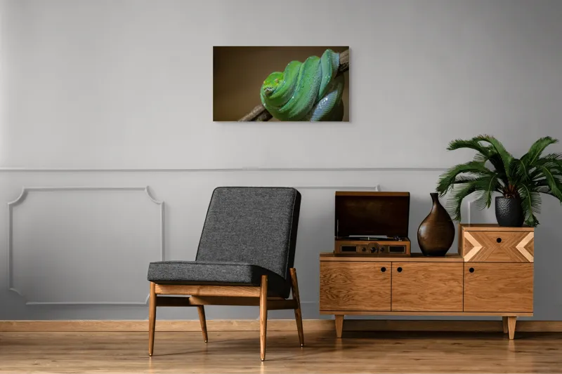 Tablou Canvas, "Șarpele odihnindu-se pe ramură", Șarpe, Verde, Liane, Umezeală, Natură, Reptilă, Frunze, 90 x 50 cm – poza 6