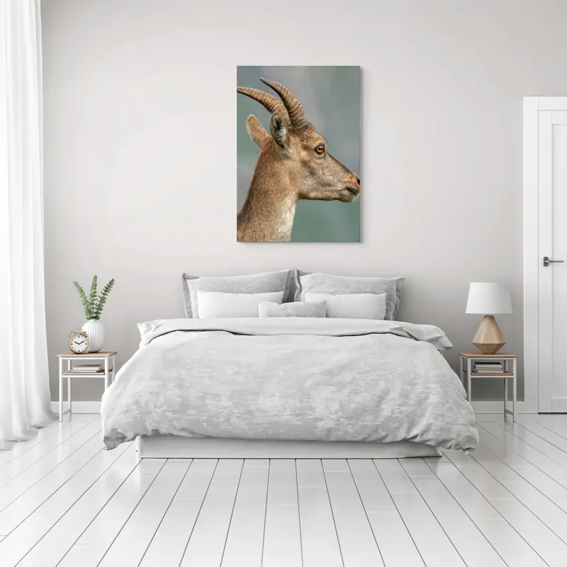 Tablou Canvas, "Capra curioasă în peisaj montan", Capră, Corn, Blană, Profil, Privire, Contrast, Natură, Serenitate, 70 x 100 cm – poza 3