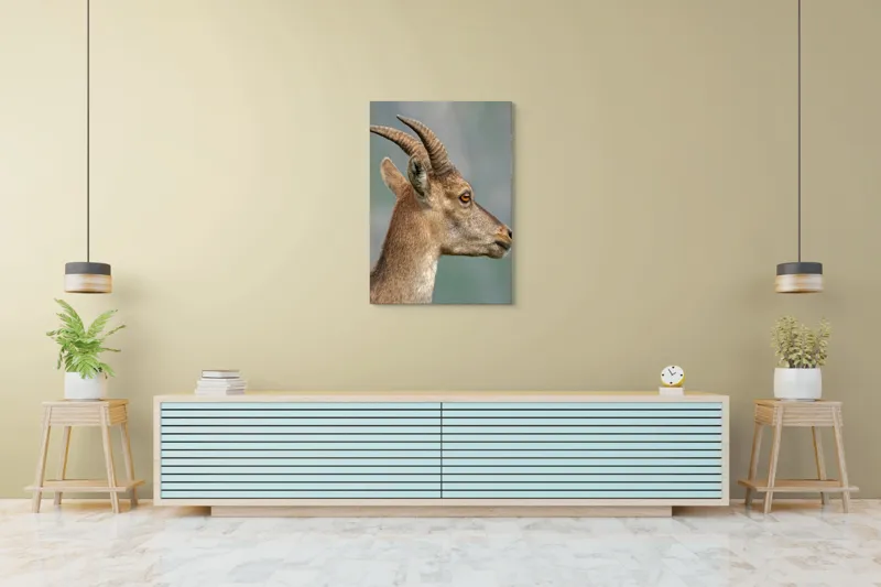 Tablou Canvas, "Capra curioasă în peisaj montan", Capră, Corn, Blană, Profil, Privire, Contrast, Natură, Serenitate, 70 x 100 cm – poza 5