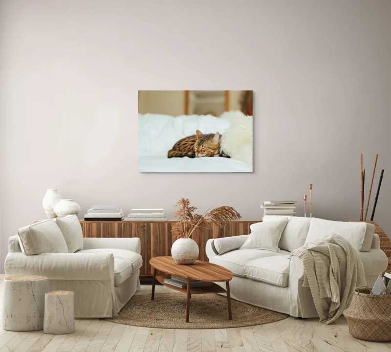 Tablou Canvas, "Pisică bengaleză dormind pe pat alb", Pisică, Adormită, Blană, Pernă, Relaxare, Pat, Liniște, Moale, 100 x 70 cm – poza 3