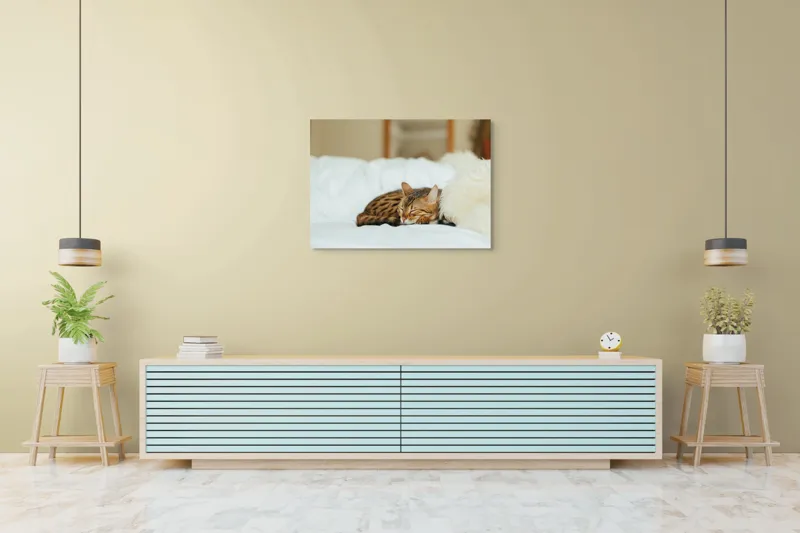 Tablou Canvas, "Pisică bengaleză dormind pe pat alb", Pisică, Adormită, Blană, Pernă, Relaxare, Pat, Liniște, Moale, 100 x 70 cm – poza 4