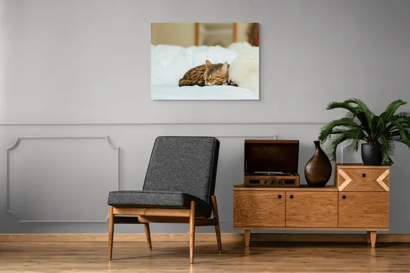 Tablou Canvas, "Pisică bengaleză dormind pe pat alb", Pisică, Adormită, Blană, Pernă, Relaxare, Pat, Liniște, Moale, 100 x 70 cm – poza 8