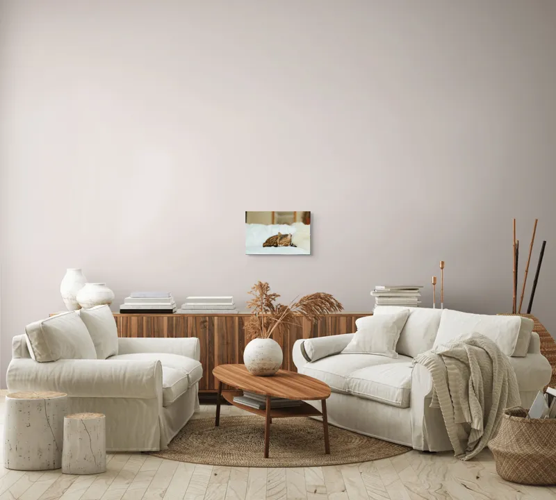 Tablou Canvas, "Pisică bengaleză dormind pe pat alb", Pisică, Adormită, Blană, Pernă, Relaxare, Pat, Liniște, Moale, 39 x 26 cm – poza 7