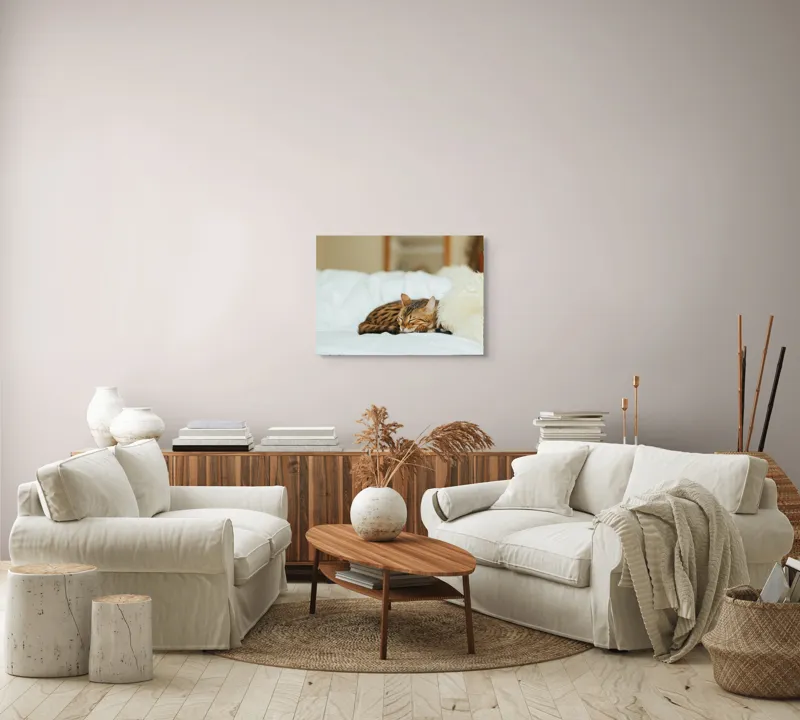 Tablou Canvas, "Pisică bengaleză dormind pe pat alb", Pisică, Adormită, Blană, Pernă, Relaxare, Pat, Liniște, Moale, 70 x 50 cm – poza 6