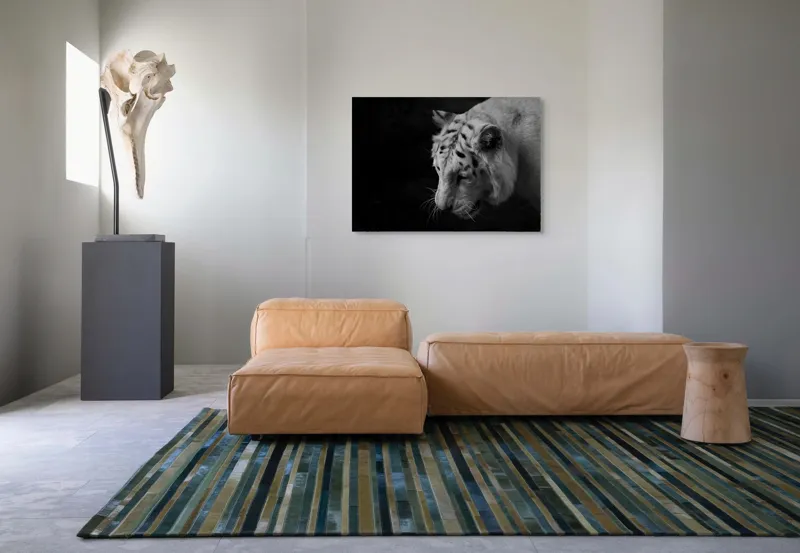 Tablou Canvas Tigru Alb în Penumbră Liniștitoare Artă Sălbăticie, 100 x 70 cm – poza 7