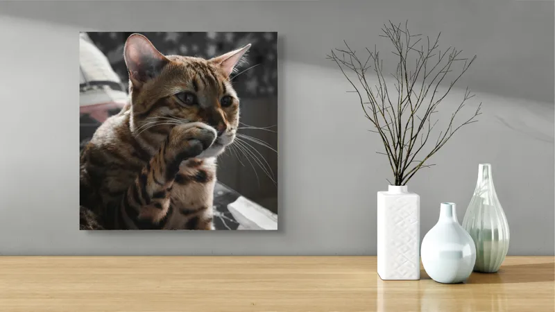 Tablou Canvas Pisică Bengaleză în Moment de Gândire Artă Murală, 50 x 50 cm – poza 3
