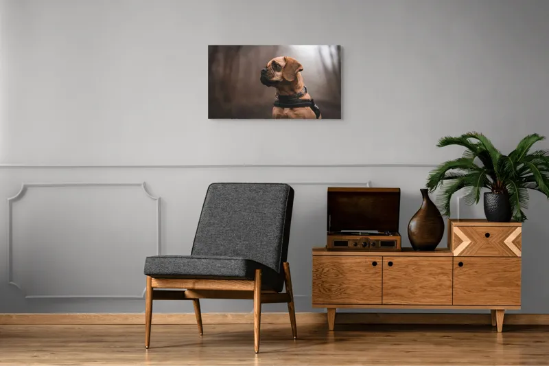 Tablou Canvas, "Câinele visător în pădurea încețoșată", Câine, Pădure, Toamnă, Cețos, Linie, Profil, Natură, Haină, 90 x 50 cm – poza 6