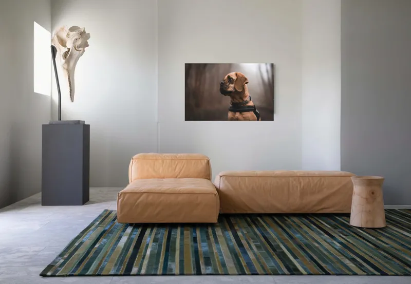 Tablou Canvas, "Câinele visător în pădurea încețoșată", Câine, Pădure, Toamnă, Cețos, Linie, Profil, Natură, Haină, 90 x 50 cm – poza 8